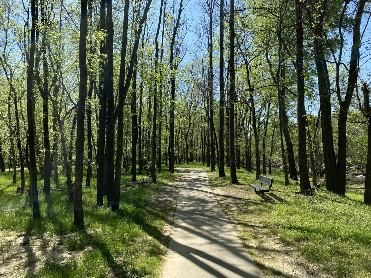 A paved section of Danville's Riverwalk Trail curving through spring woodland, with a bench beside the path.